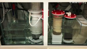 Самп для морского аквариума