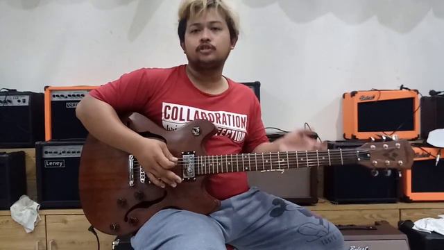 Review Guitar Washburn Semi hollow By #dennystunt смотреть онлайн