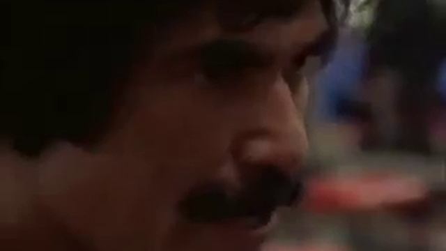 Арнольд Шварценеггер (Arnold Schwarzenegger)