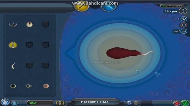 Обзор на игру spore смотреть онлайн