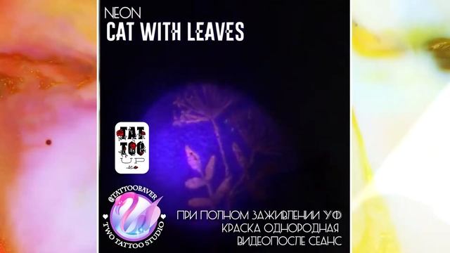 BAVER / TATTOO UP / НЕОНОВАЯ ТАТУИРОВКА / УФ ТАТУИРОВКА / ультрафиолетовая татуировка смотреть онлайн