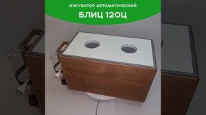 Инкубатор Блиц 120ц