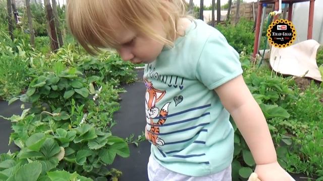 Рецепт курицы в тандыре и Первая клубника смотреть онлайн