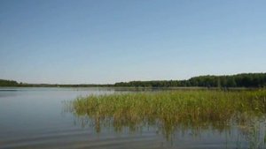 озеро Беленькое Рязанская область