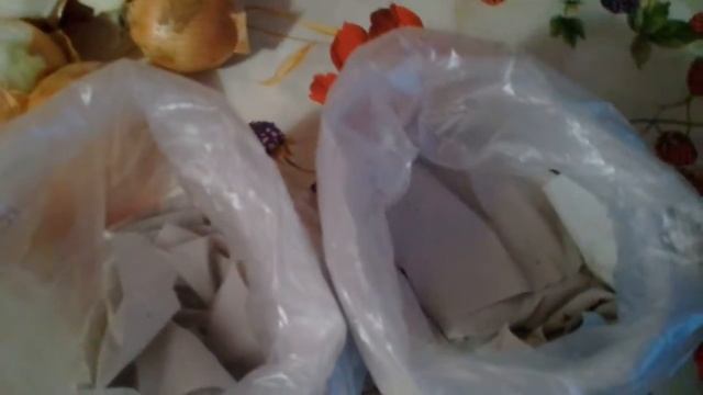 Выращиваю лук зеленый в пакете на подоконнике. 23.01.2018г. смотреть онлайн