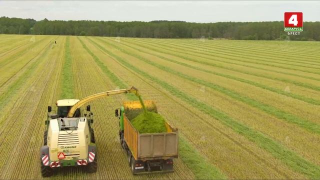 В сельском хозяйстве - заготовка кормов смотреть онлайн