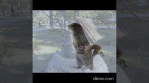 Магаданская любимица.