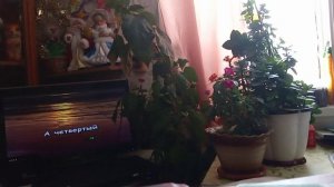 Как хотела меня мать.