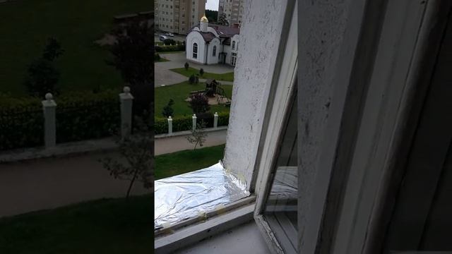 Как определить, вылупились ли птенцы ласточек? смотреть онлайн