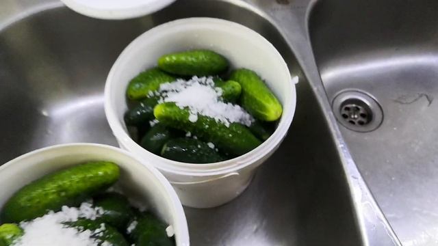 Как быстро посолить огурцы на зиму, для рассольника и так похрумкать! смотреть онлайн