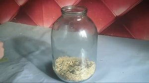 Овсяный квас (на меду с изюмом).