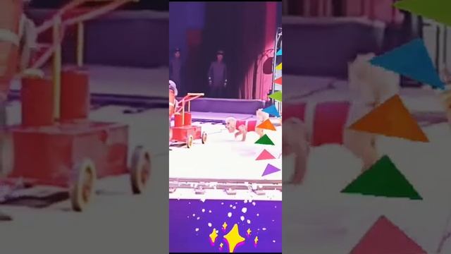 ,,Уголок дедушки Дурова" . Москва . 2023г. смотреть онлайн