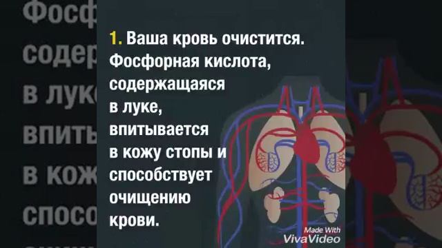 Лечение луком Многих болезней вы даже не подозревали