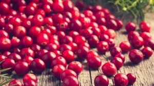 Чистит сосуды. РЕЦЕПТЫ из клюквы для лечения цистита, гипертонии. ПОЛЬЗА КЛЮКВЫ ДЛЯ ОРГАНИЗМА