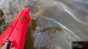 ХАЗЯЕВА УГАРАЮТ С БОТАНА | ФРАМЕ ТАМЕР ПОД ВОДОЙ НА БАЙДАРКЕ