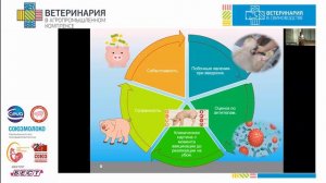 Фурсева О.А. Альтернативы импортным вакцинам есть!