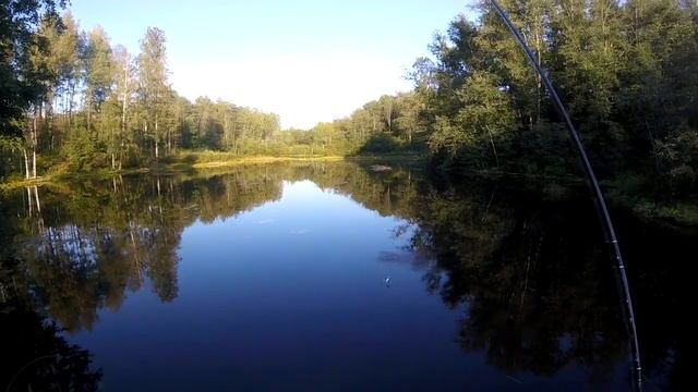Herabuna / Херабуна. Отрываемся на плотвичках. Очень уловистая снасть. смотреть онлайн