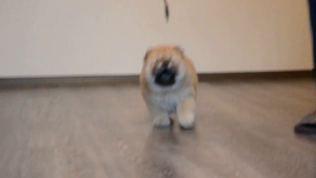 Ева+Фреш.Мальчик.35дней. смотреть онлайн