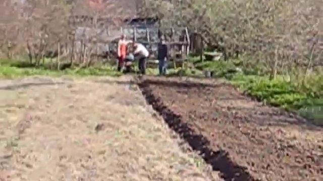 Вспашка земли чудо-плугом и лебёдкой.Plowing