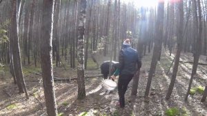 У Брата на даче! Offroad, грибы, лес.