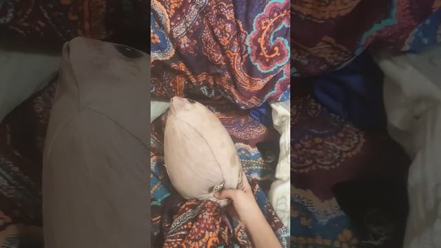 как просыпается хренобус #анимация #игрушки #блоптоп #купить #можно #валберис #озон # смотреть онлайн