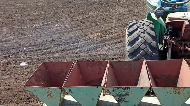 Суданская трава: почему сею 100 кг на гектар? смотреть онлайн