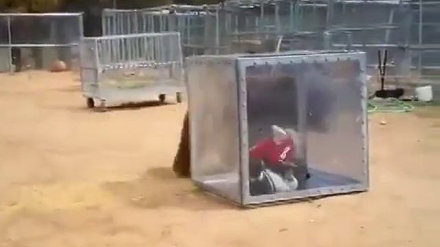 Экстримальный аттракцион смотреть онлайн