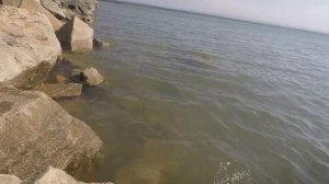 СУПЕР ОТДЫХ НА ЧЕРКЕССКОМ ВОДОХРАНИЛИЩЕ 2017!!!