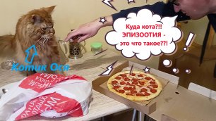 Котик Ося проверяет пиццу