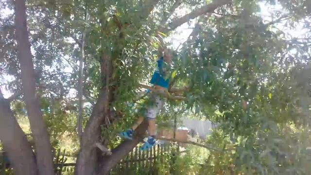 Самый крепкий телефон в мире смотреть онлайн