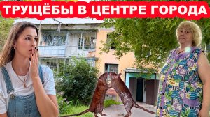 ШОК 😱 АВАРИЙНЫЙ ДОМ С КРЫСАМИ И ПЛЕСЕНЬЮ В ОРЕХОВО-ЗУЕВО. ЛЮДИ ПРОСТО ВЫЖИВАЮТ