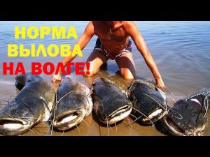 Ввели новые ограничения  подводной охоты и рыбалки!