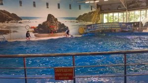 Дельфинарий