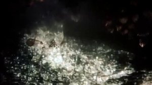 "Ёжик в Тумане" трейлер/Hedgehog in the Fog trailer (SevenEleven production)