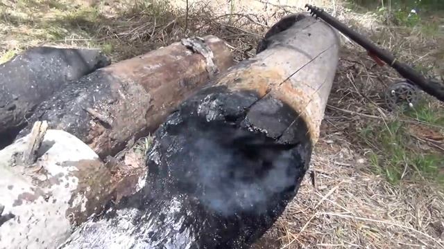 5 Выживание в лесу Балаган костер Нодья Как отпугнуть медведя Охота Рыбалка Выживание в тайге Сибир смотреть онлайн