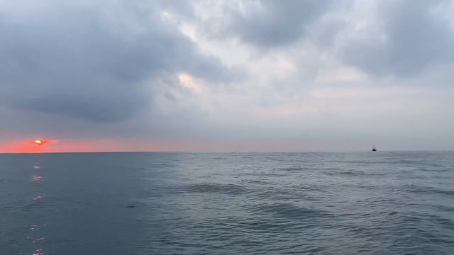 Яхта в Сочи/Аренда Яхты