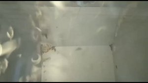 делаем подушки из перины???????
