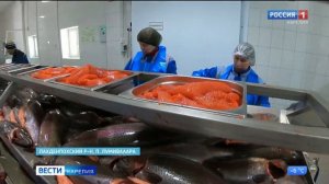 Карельская форель — перспективы в переработке рыбы