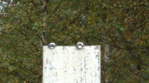 Crosman Benjamin Charger к. 4,5 мм пневматическая винтовка - Стрельба стоя по банкам 50 м