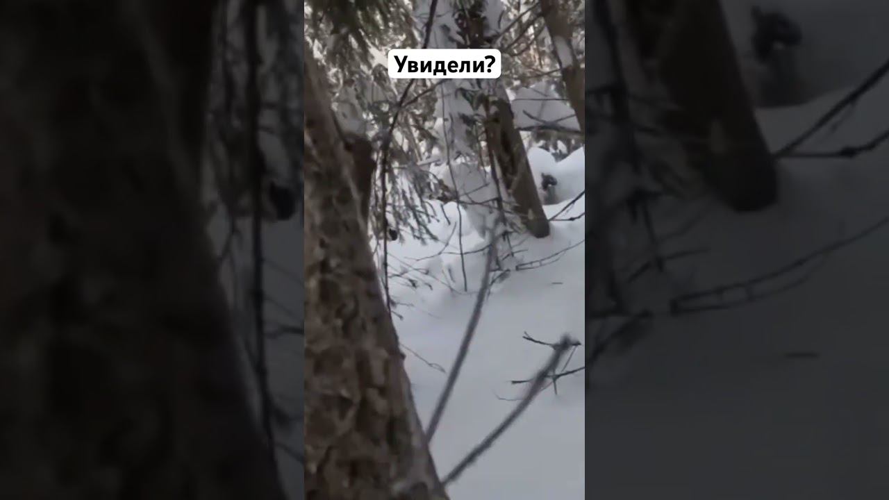 Страйкбол #airsoft #fake #replica смотреть онлайн