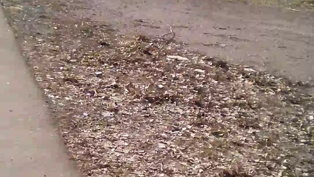 мега-костёр. Вулкан из листьев смотреть онлайн