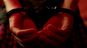 Наблюдатель: Дело Остина Ланца