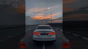 Линда - Догу дог 😍  Новинка 2024)