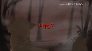 Бич VS Огнезвёзд,Звездоцап