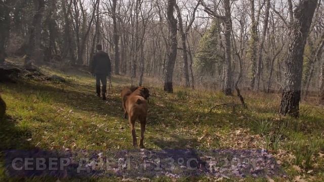 ПОГОДА НА 18 СЕНТЯБРЯ : ПОГОДА НА СЕГОДНЯ