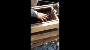Вибростол для просеивания червя в домашних условиях