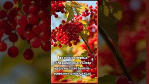 С добрым утром! Христианское пожелание!