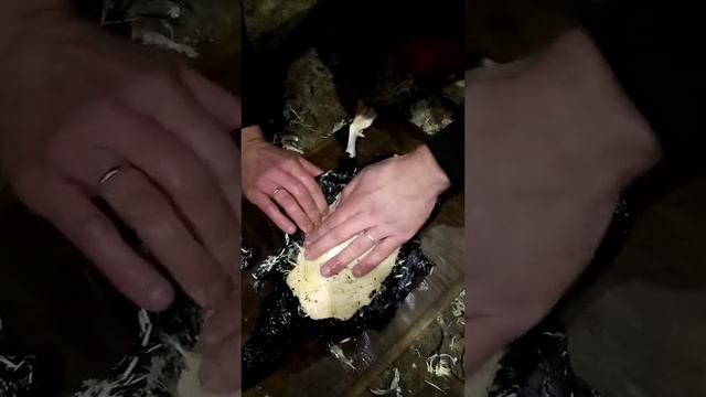 Утку в кипящую смолу!  Слабонервным не смотреть.