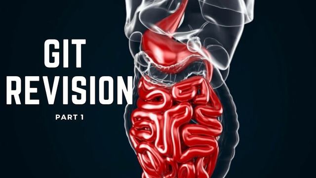 GIT revision part one internal medicine. смотреть онлайн