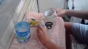 Пулялка рябиной